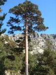 DSC05325.JPG