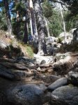 DSC05329.JPG