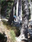 DSC05330.JPG