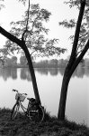 bici16.jpg
