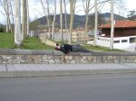 Imagen 036.jpg