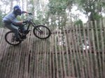 okIMG_2967.jpg