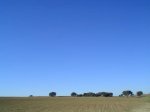 campo01.jpg