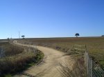 campo02.jpg