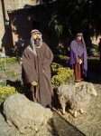 belen02.jpg