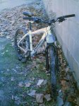 imag0010__small_.jpg