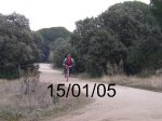 foto3_503.jpg