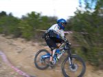 dani way dh.jpg