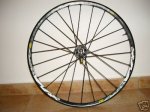 mavic 1.jpg