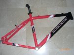 Cuadro1.JPG