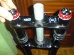 DSC01008.jpg