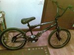 ColuerBMX.jpg