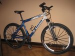 Bicicleta BIS.jpg