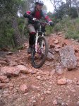 DSCN9138.JPG