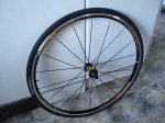 DSC00532.jpg