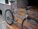 sunn simgle speed 003.jpg