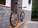 sunn simgle speed 009.jpg