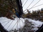 100_2923.JPG