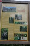 IMG_0937 [800x600].JPG