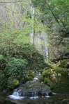 IMG_0967 [800x600].JPG