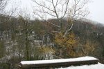 IMG_1067 [800x600].JPG