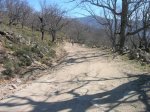 DSCN4231 [DVD (NTSC)].JPG