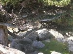 DSCN4252 [DVD (NTSC)].JPG