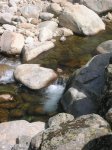DSCN4253 [DVD (NTSC)].JPG