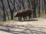 DSCN4281 [DVD (NTSC)].JPG