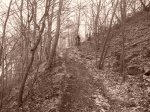 P1010016.JPG
