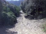 Imagen021.jpg