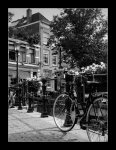 bicicleta15amsterdamj.jpg