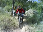 DSC00533.JPG