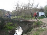 IMG_0339.jpg