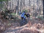 IMG_0362.jpg