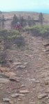 Panorama 7_tauro.JPG