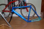 DSC_2728.JPG