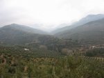 IMG_4996.JPG