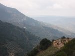 IMG_5005.JPG