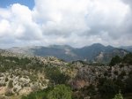 IMG_5030.JPG