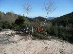 el bici-trio.JPG