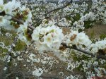 DSC00053.jpg