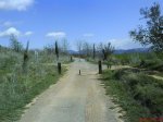 DSC00063.jpg