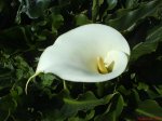 DSC00068.jpg