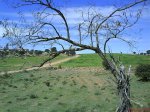 DSC00089.jpg
