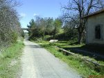 DSC00203.jpg