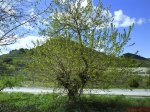 DSC00223.jpg