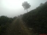 DSC01657.jpg