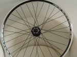DSC04571.JPG