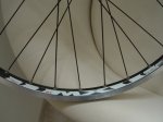 DSC04572.JPG